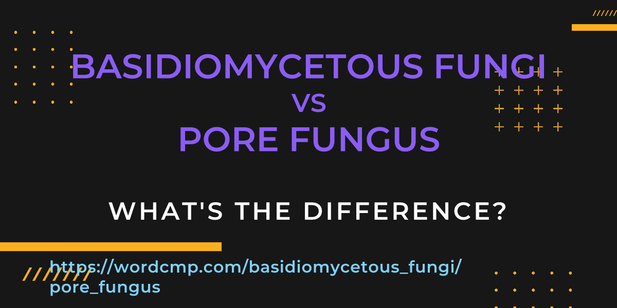 Difference between basidiomycetous fungi and pore fungus