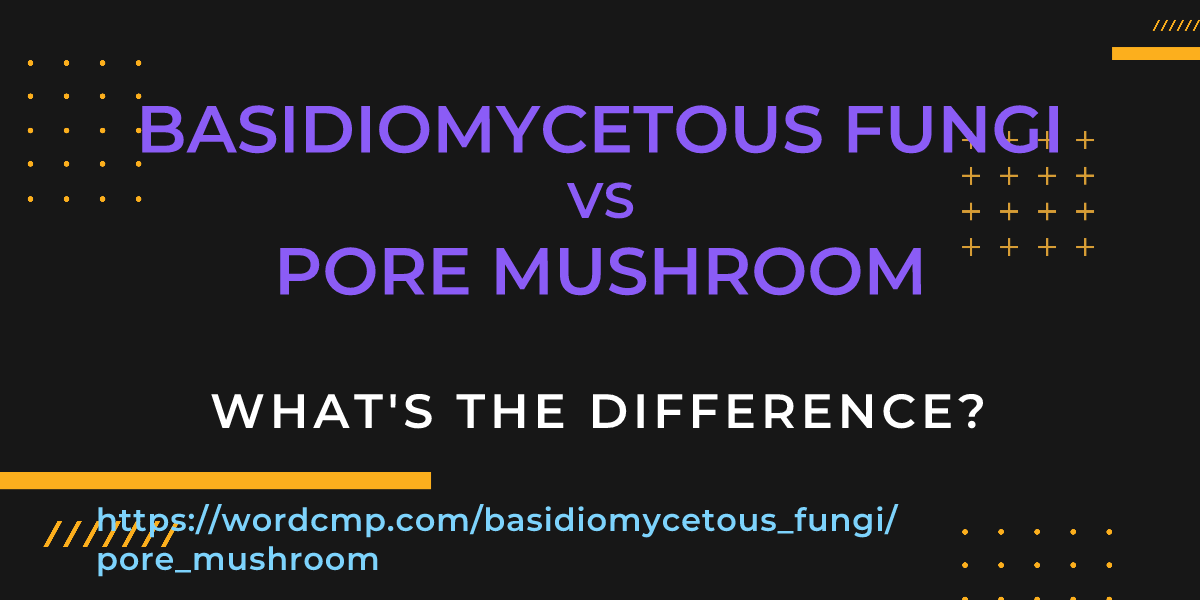Difference between basidiomycetous fungi and pore mushroom