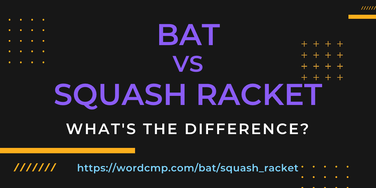 Difference between bat and squash racket