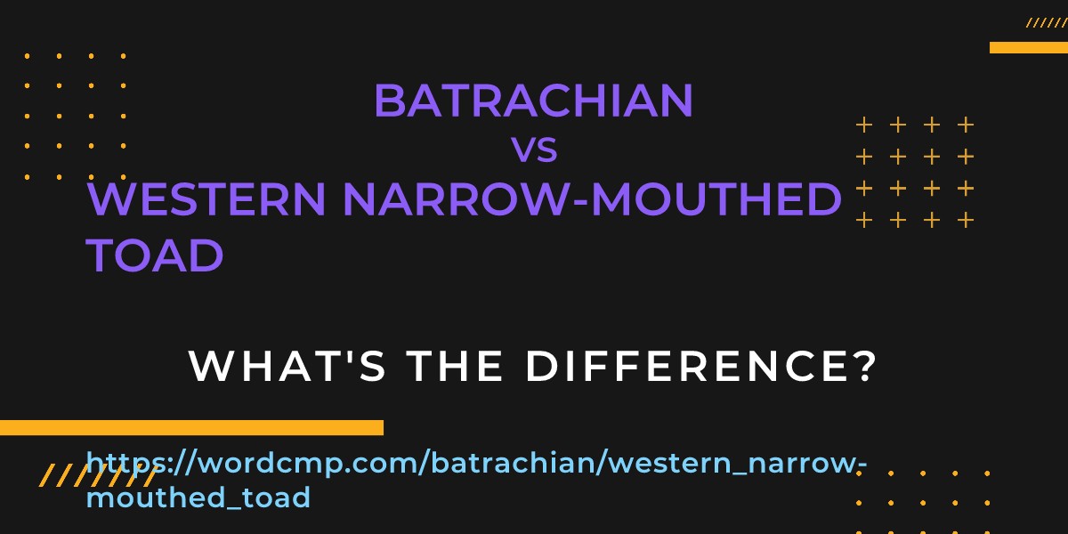 Difference between batrachian and western narrow-mouthed toad