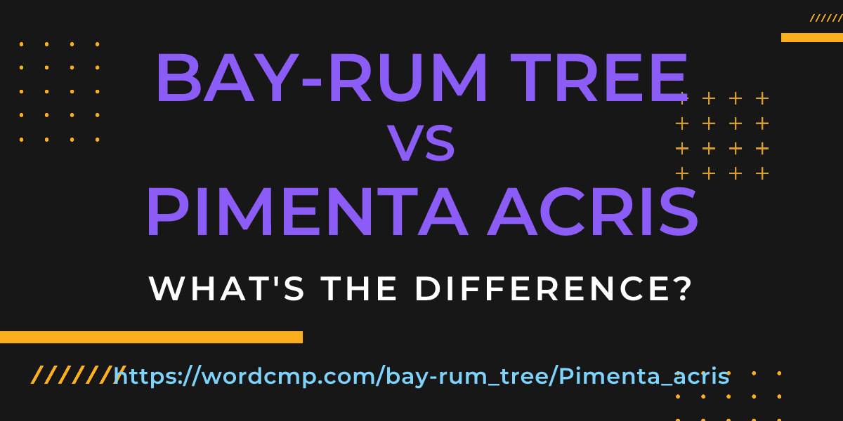 Difference between bay-rum tree and Pimenta acris