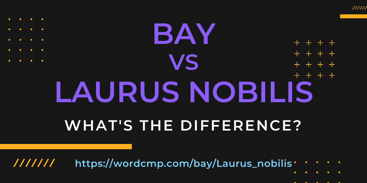 Difference between bay and Laurus nobilis