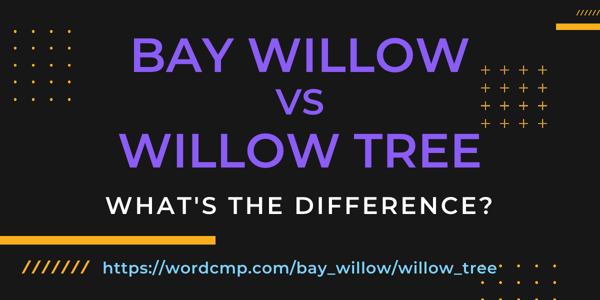 Difference between bay willow and willow tree