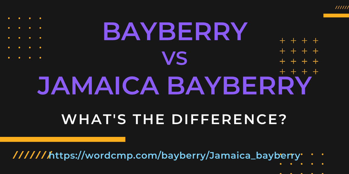 Difference between bayberry and Jamaica bayberry