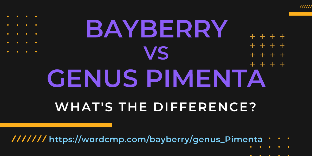 Difference between bayberry and genus Pimenta