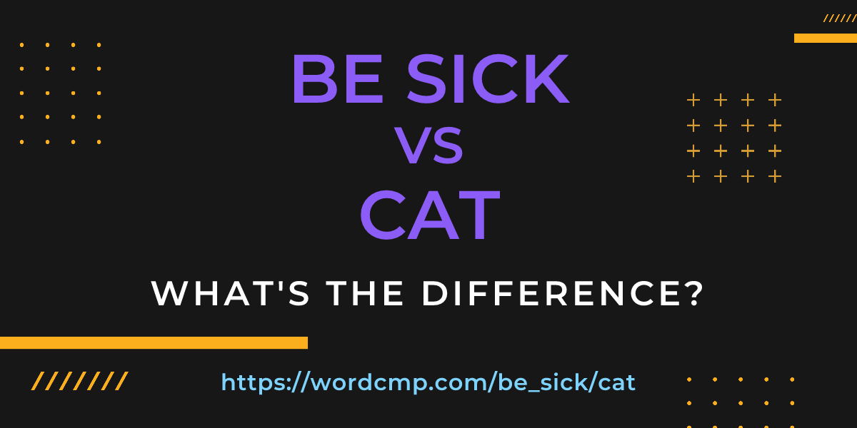 Difference between be sick and cat