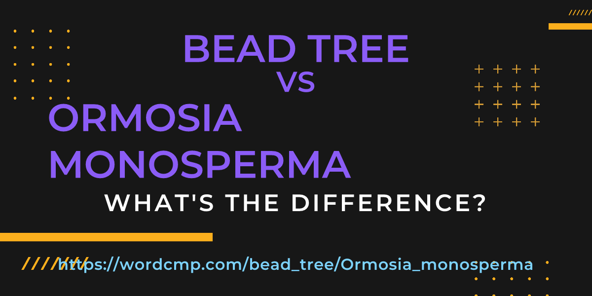 Difference between bead tree and Ormosia monosperma