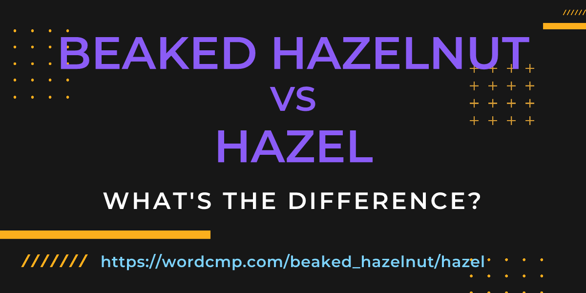 Difference between beaked hazelnut and hazel