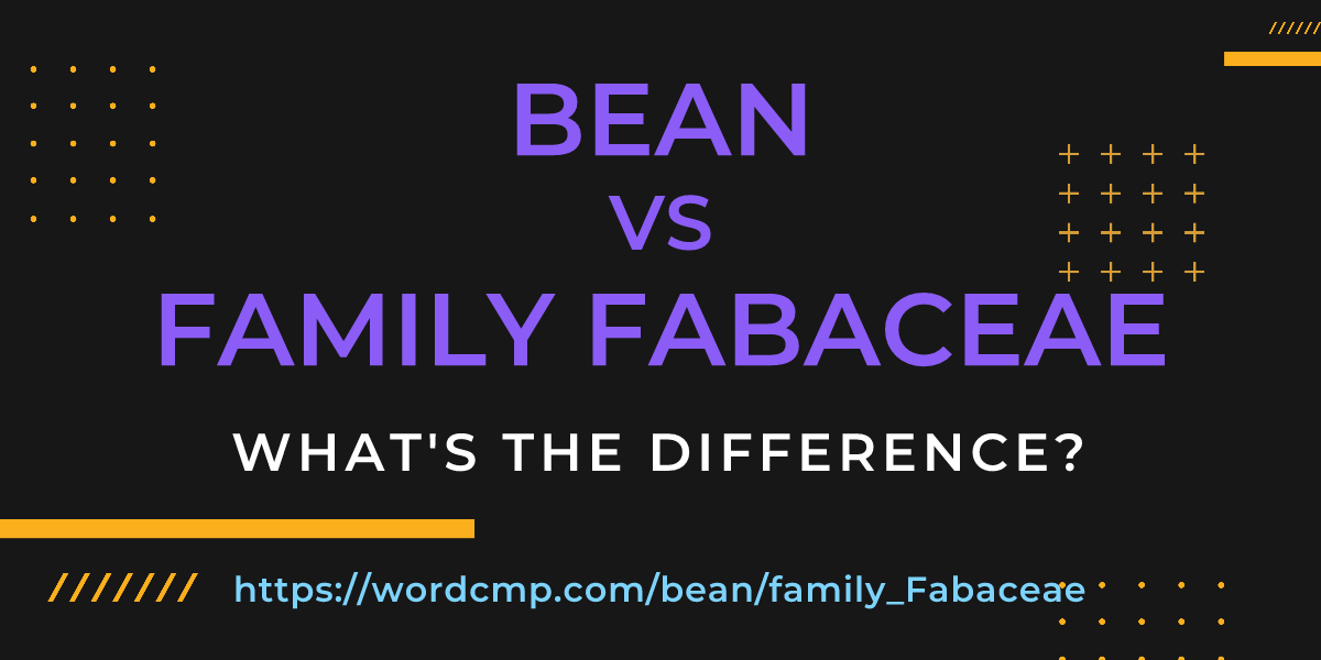 Difference between bean and family Fabaceae