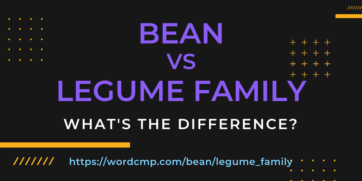 Difference between bean and legume family