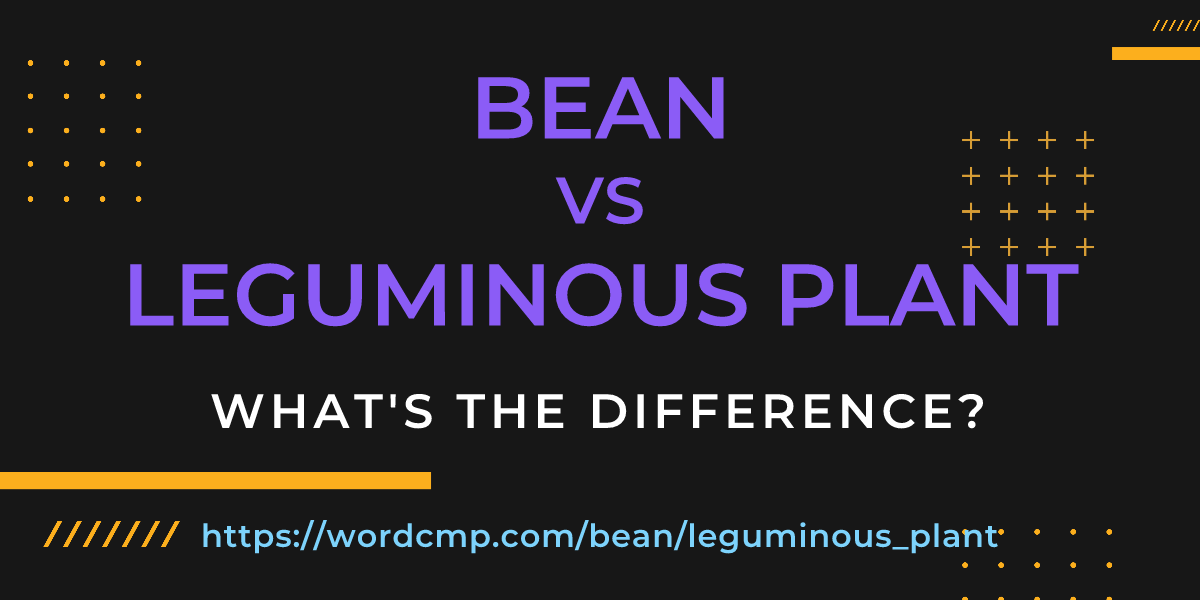 Difference between bean and leguminous plant