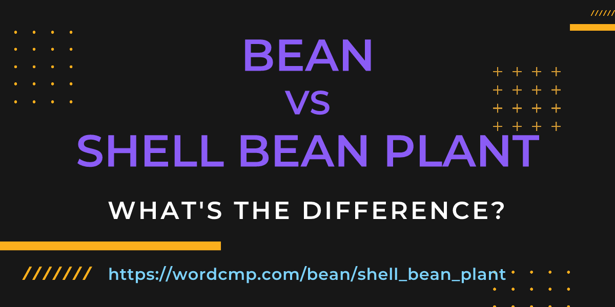 Difference between bean and shell bean plant