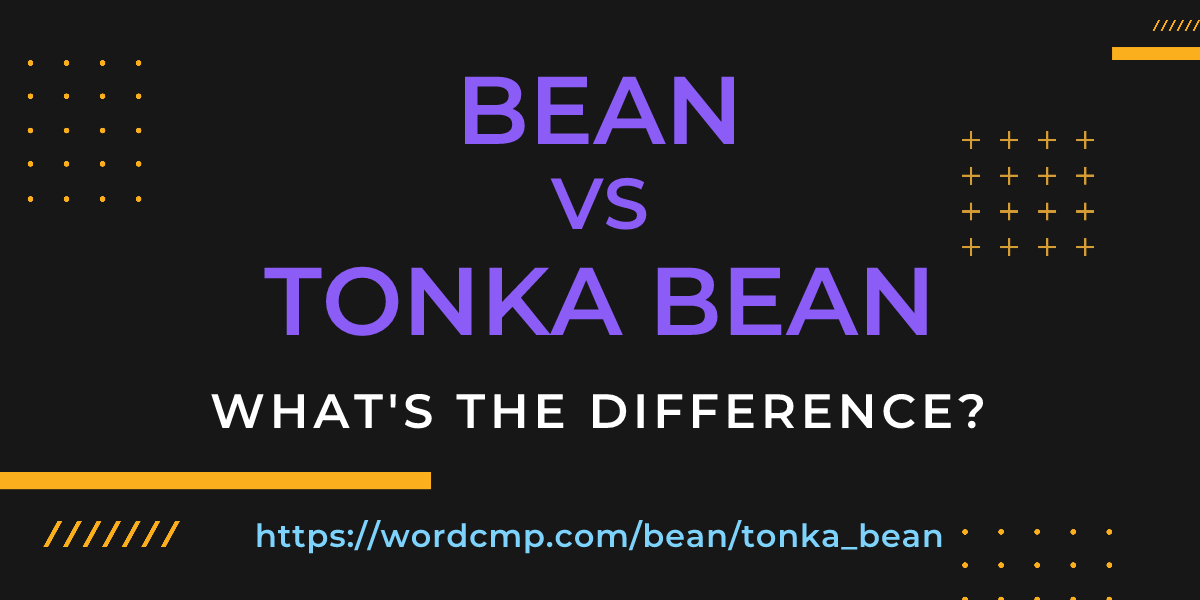 Difference between bean and tonka bean