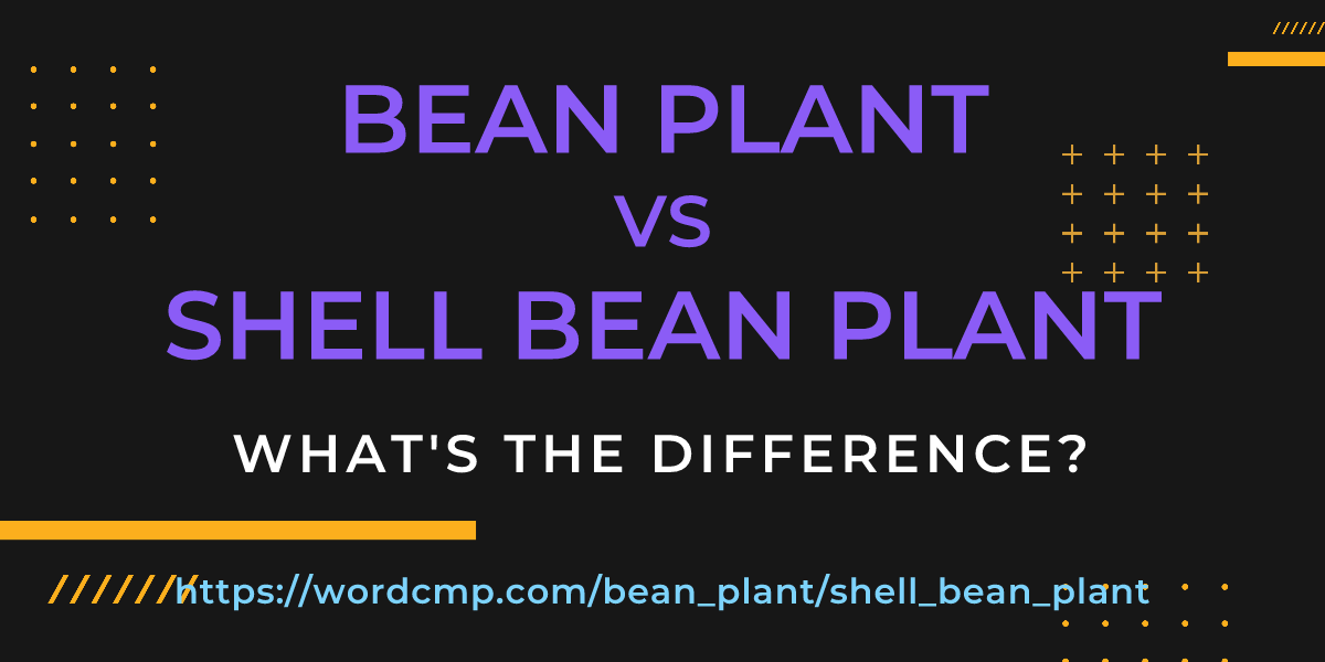 Difference between bean plant and shell bean plant