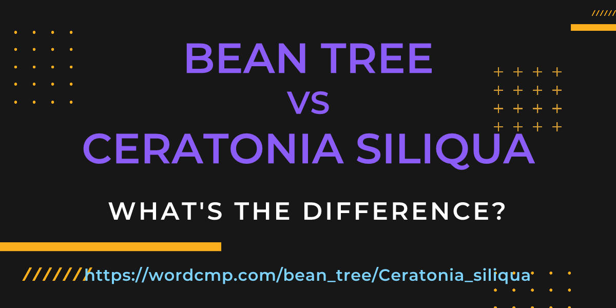 Difference between bean tree and Ceratonia siliqua