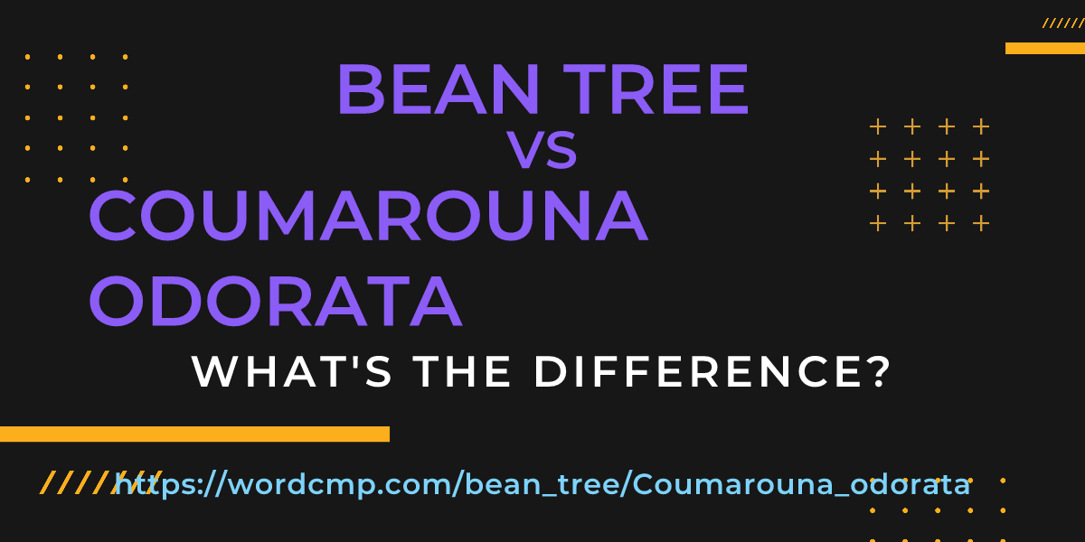 Difference between bean tree and Coumarouna odorata