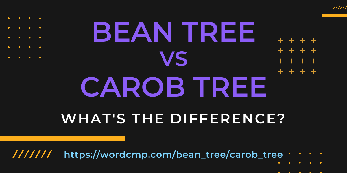 Difference between bean tree and carob tree