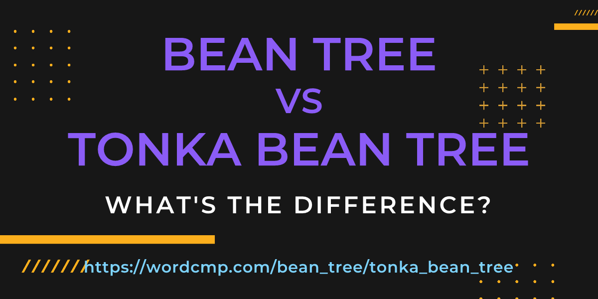 Difference between bean tree and tonka bean tree