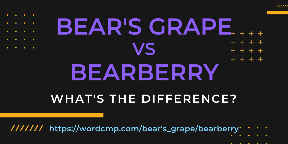 Difference between bear's grape and bearberry