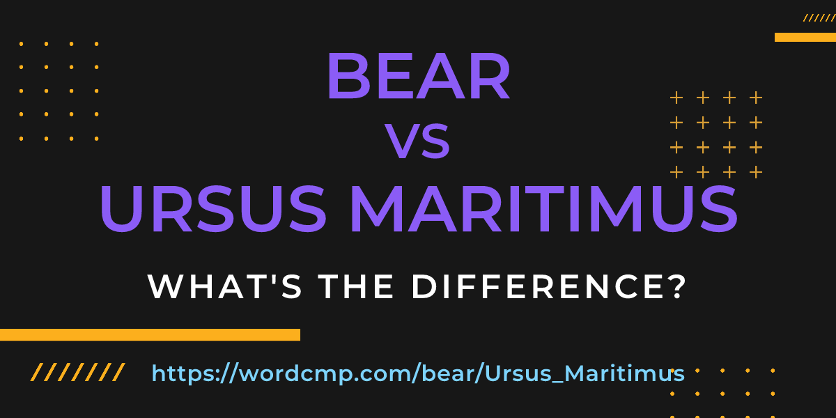 Difference between bear and Ursus Maritimus