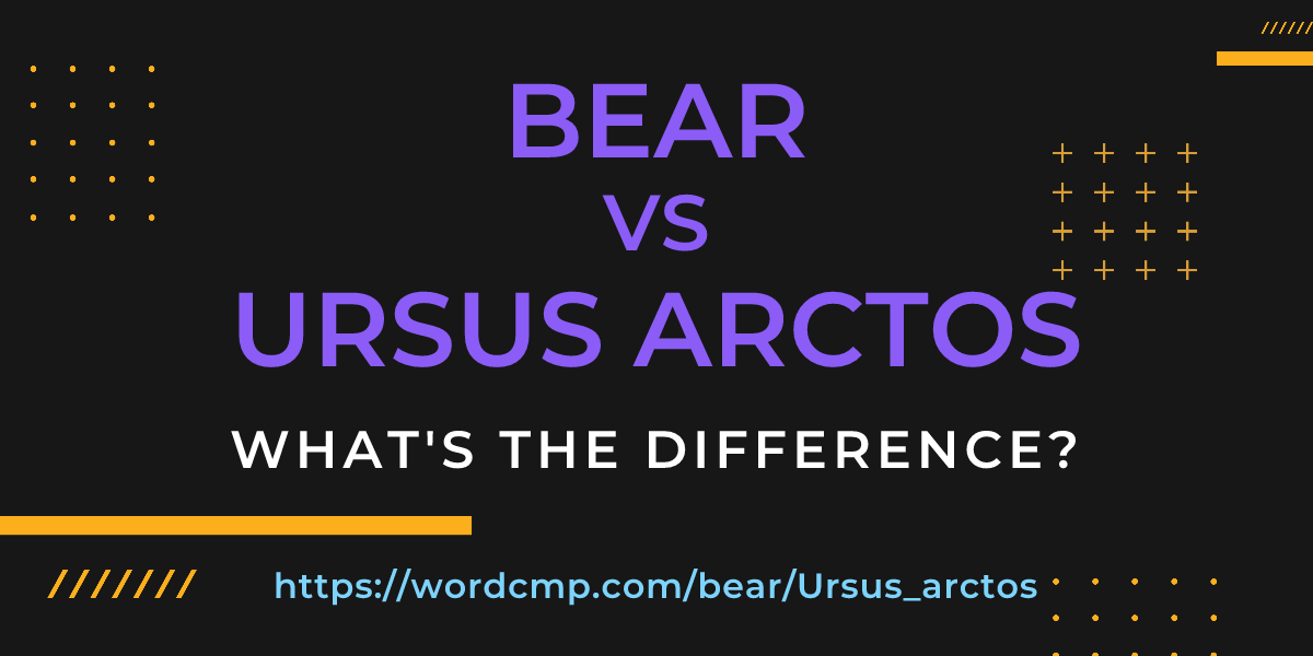 Difference between bear and Ursus arctos