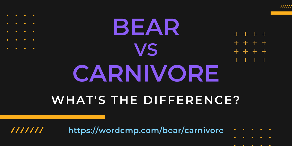 Difference between bear and carnivore