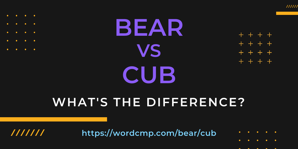 Difference between bear and cub