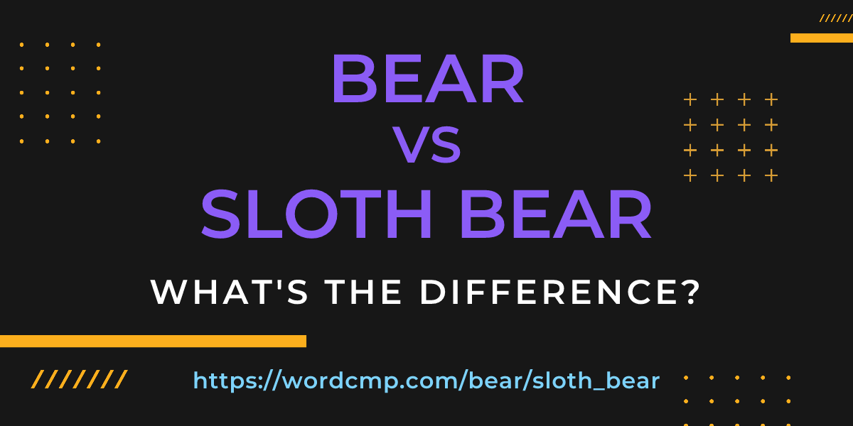 Difference between bear and sloth bear