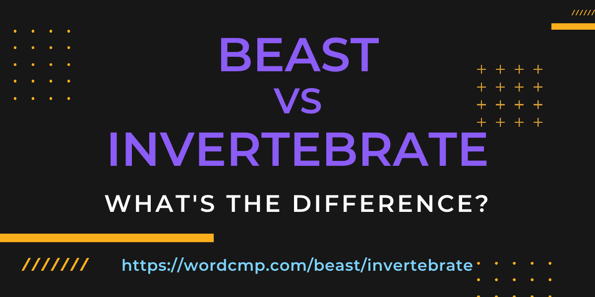 Difference between beast and invertebrate