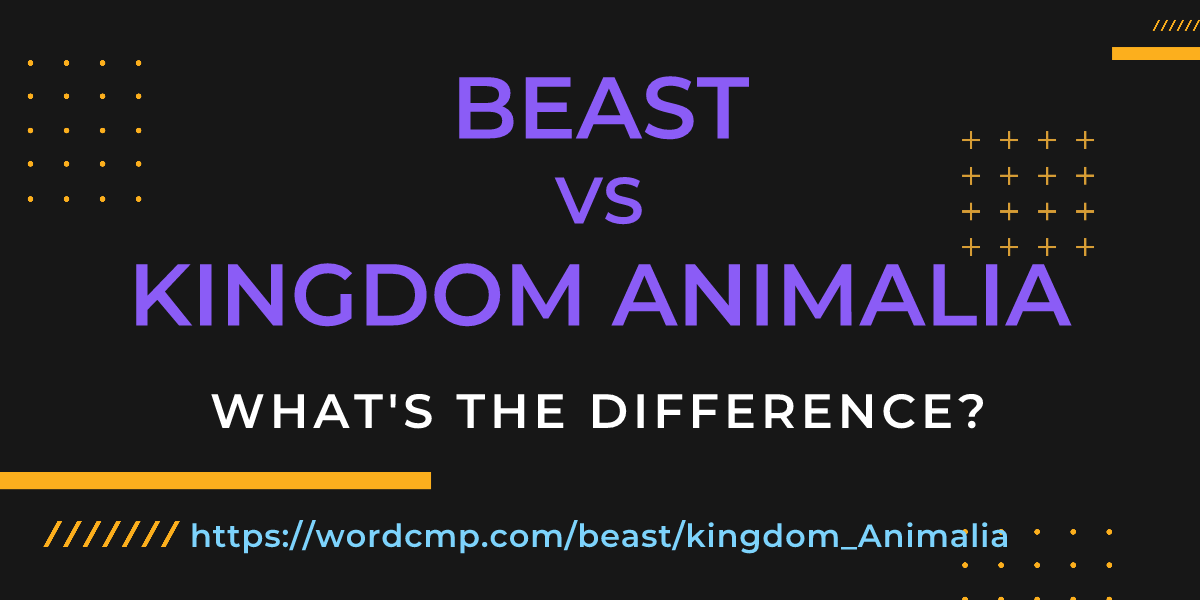 Difference between beast and kingdom Animalia