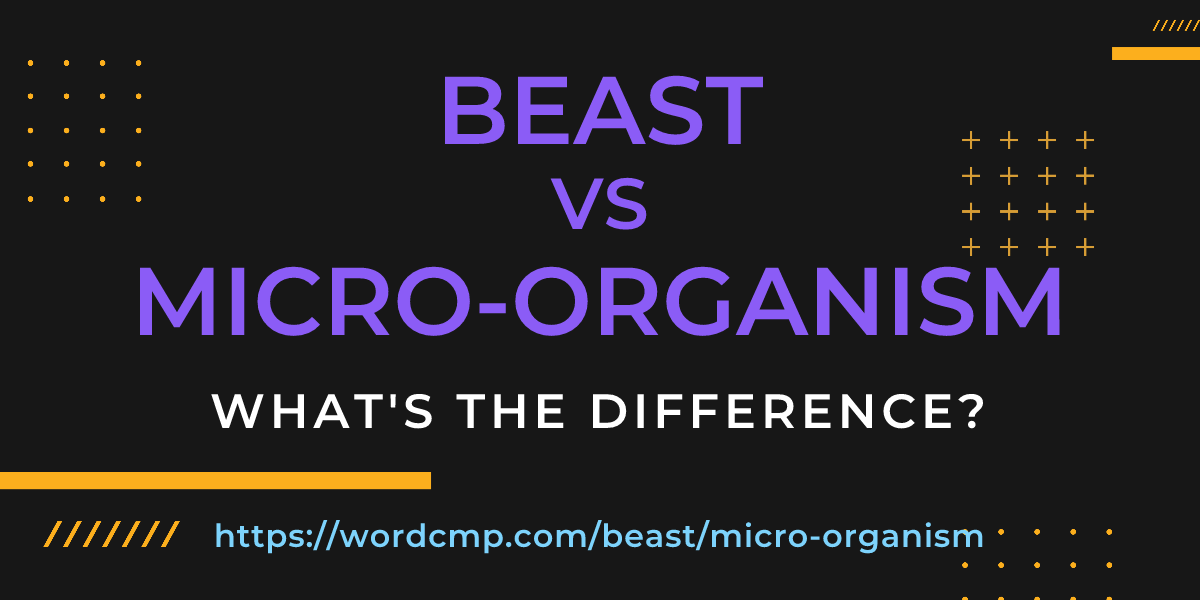 Difference between beast and micro-organism