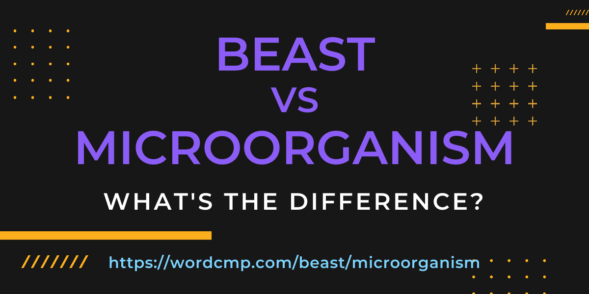 Difference between beast and microorganism
