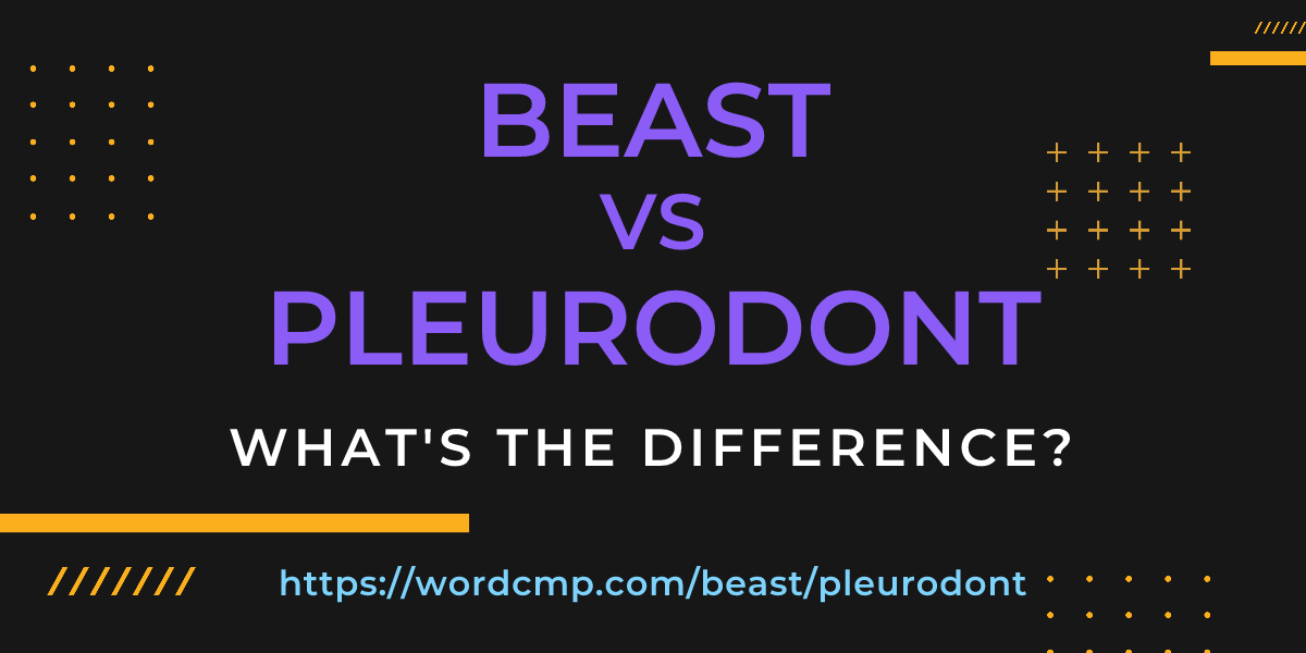 Difference between beast and pleurodont