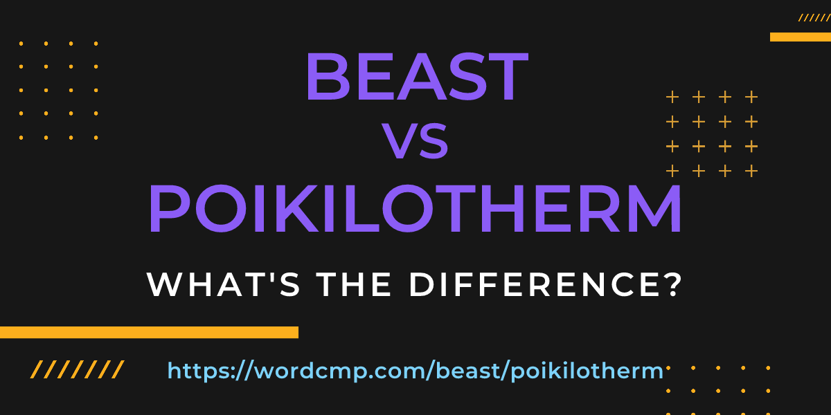 Difference between beast and poikilotherm