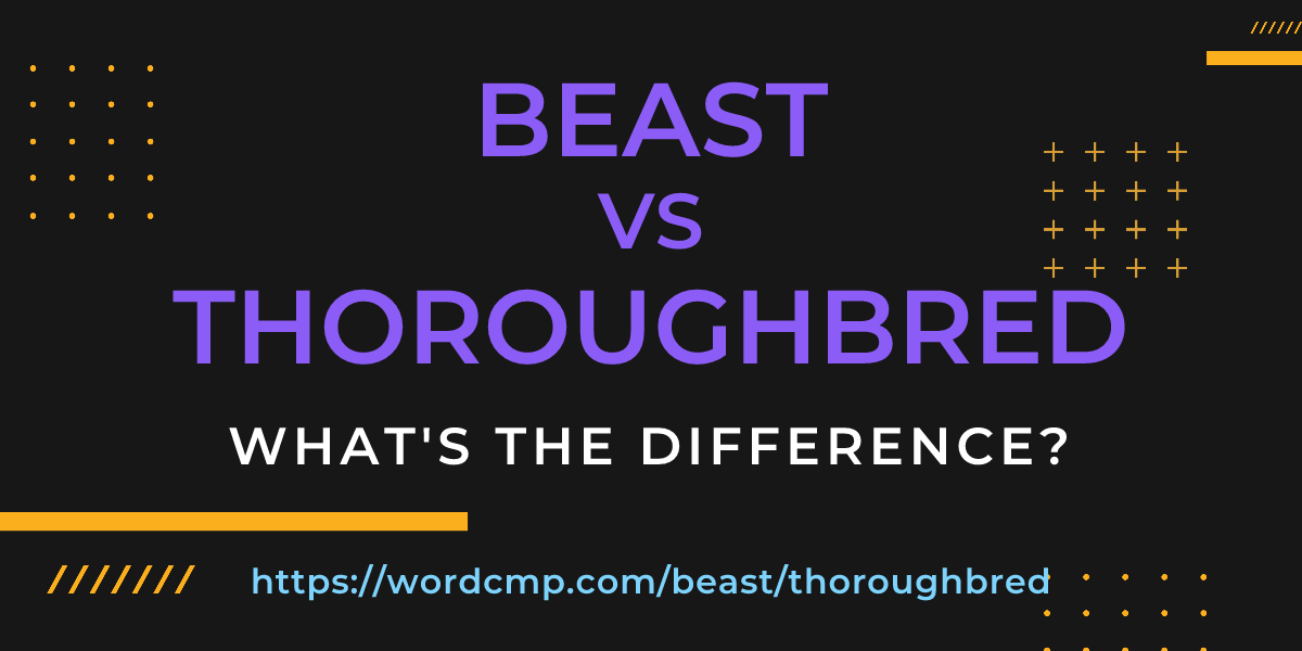 Difference between beast and thoroughbred