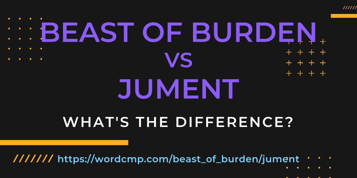 Difference between beast of burden and jument