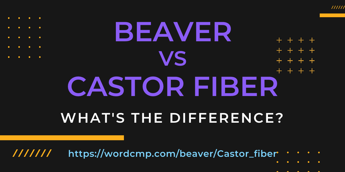 Difference between beaver and Castor fiber