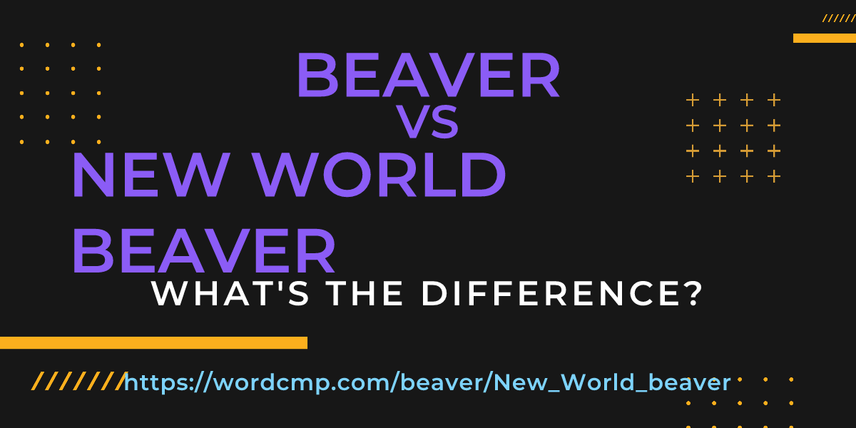 Difference between beaver and New World beaver