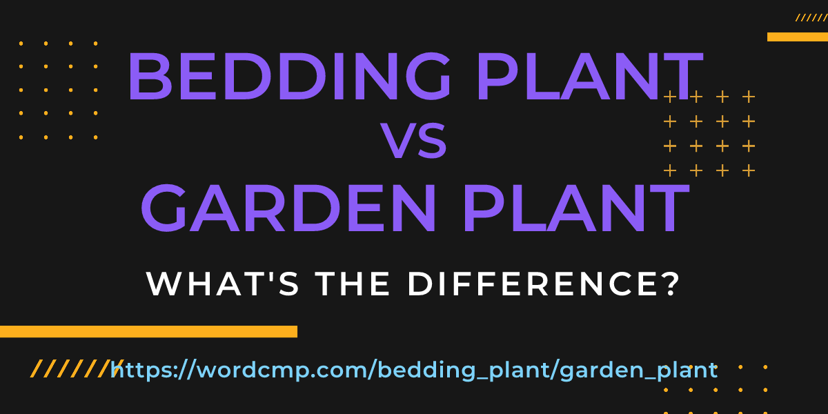 Difference between bedding plant and garden plant
