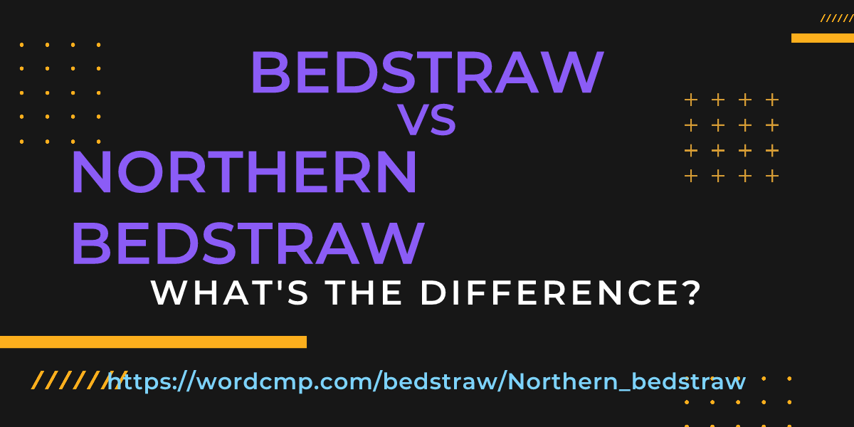 Difference between bedstraw and Northern bedstraw