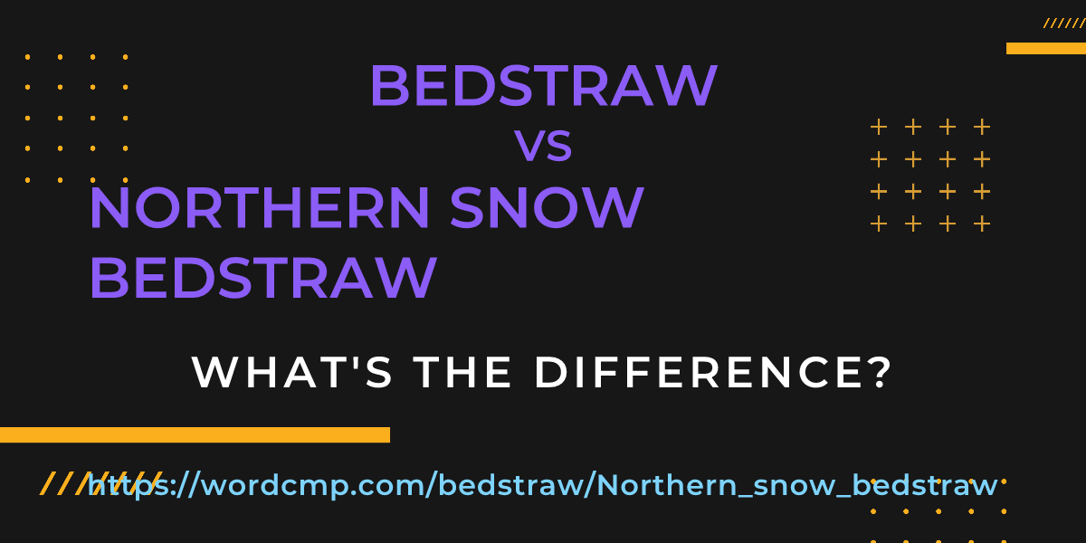 Difference between bedstraw and Northern snow bedstraw