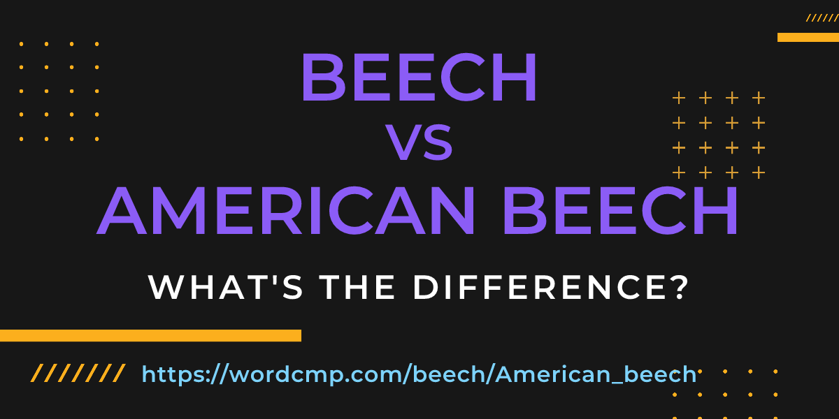 Difference between beech and American beech