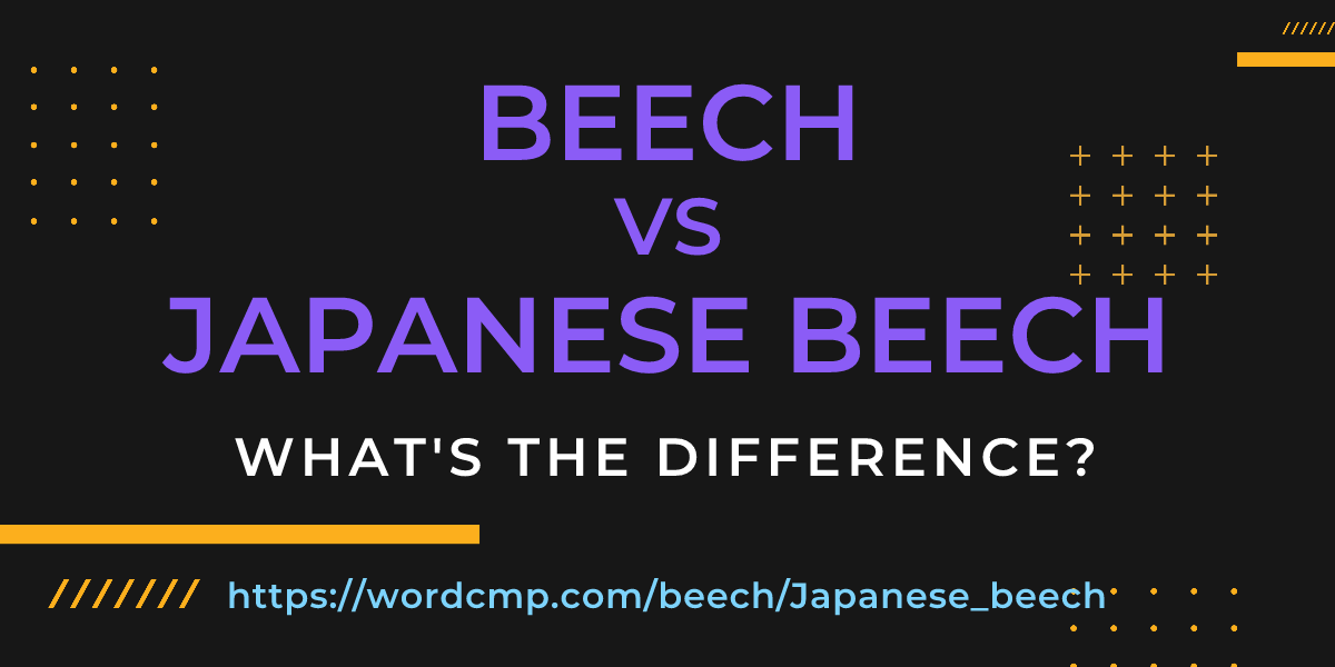Difference between beech and Japanese beech