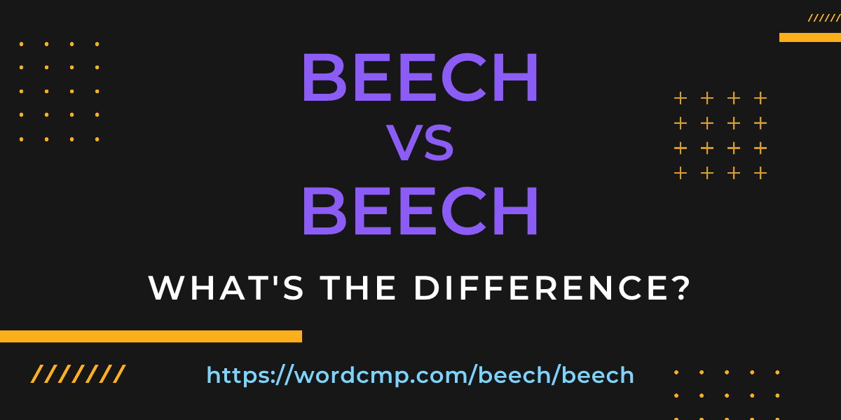 Difference between beech and beech