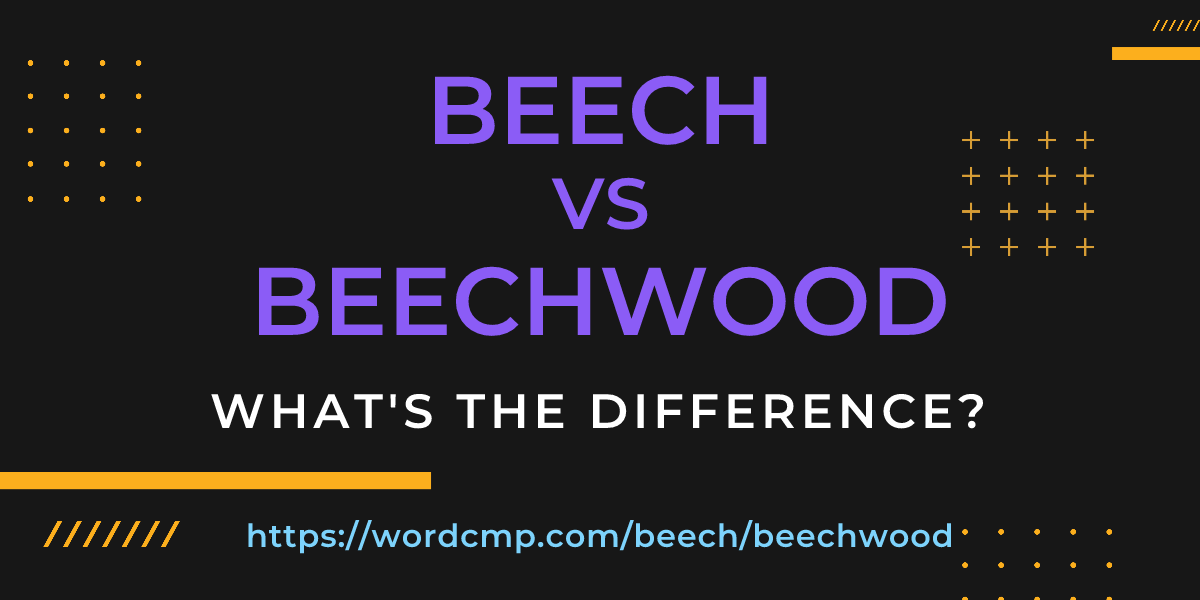 Difference between beech and beechwood