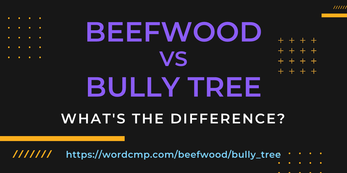 Difference between beefwood and bully tree