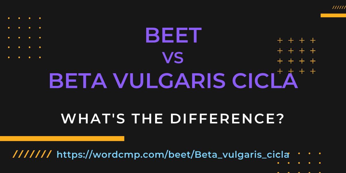 Difference between beet and Beta vulgaris cicla