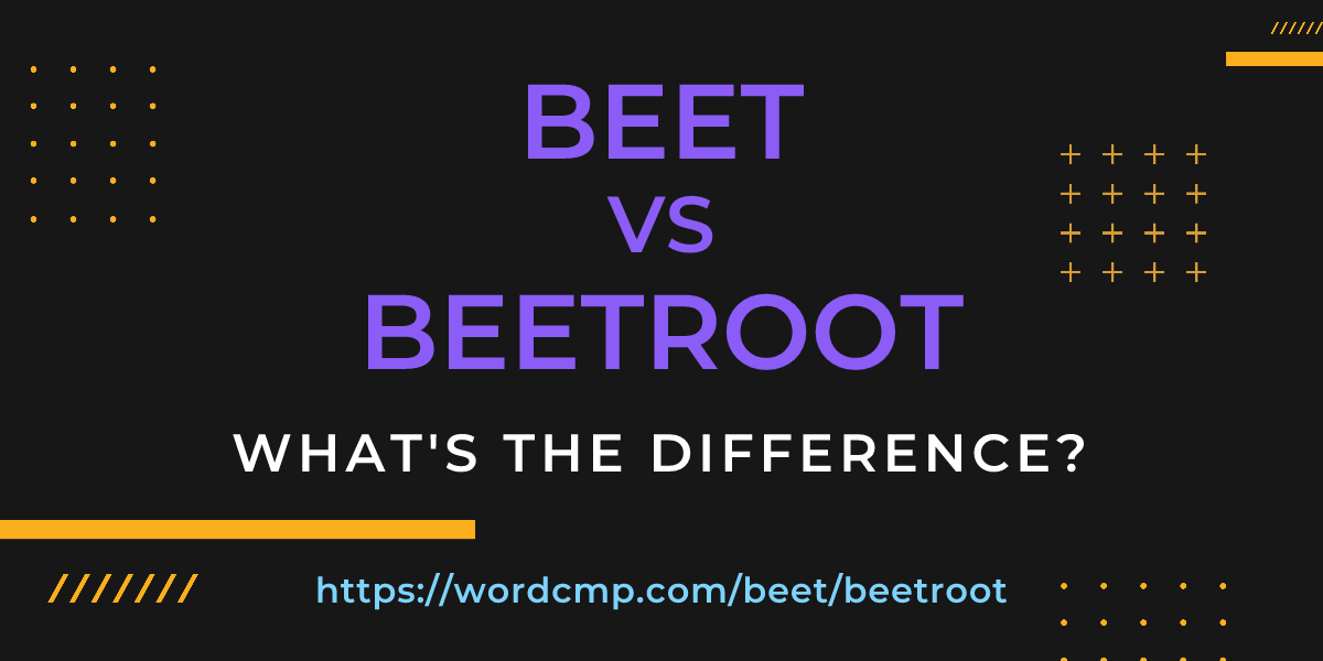 Difference between beet and beetroot