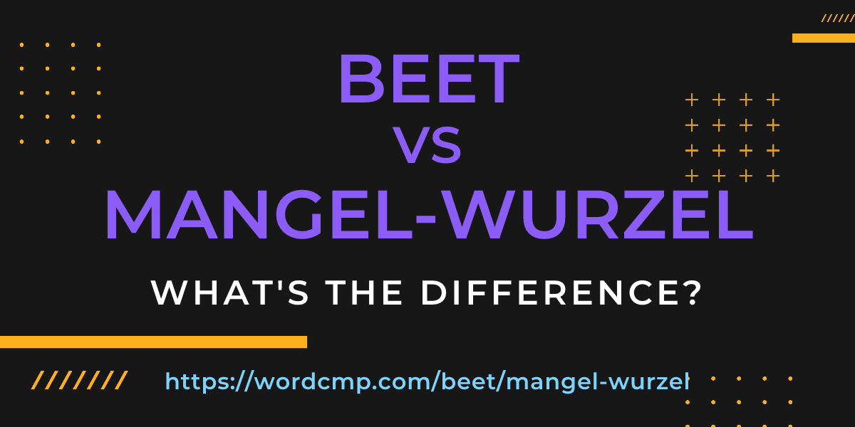 Difference between beet and mangel-wurzel