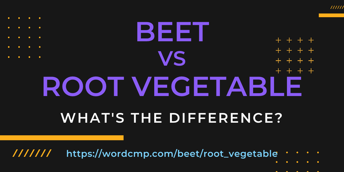 Difference between beet and root vegetable